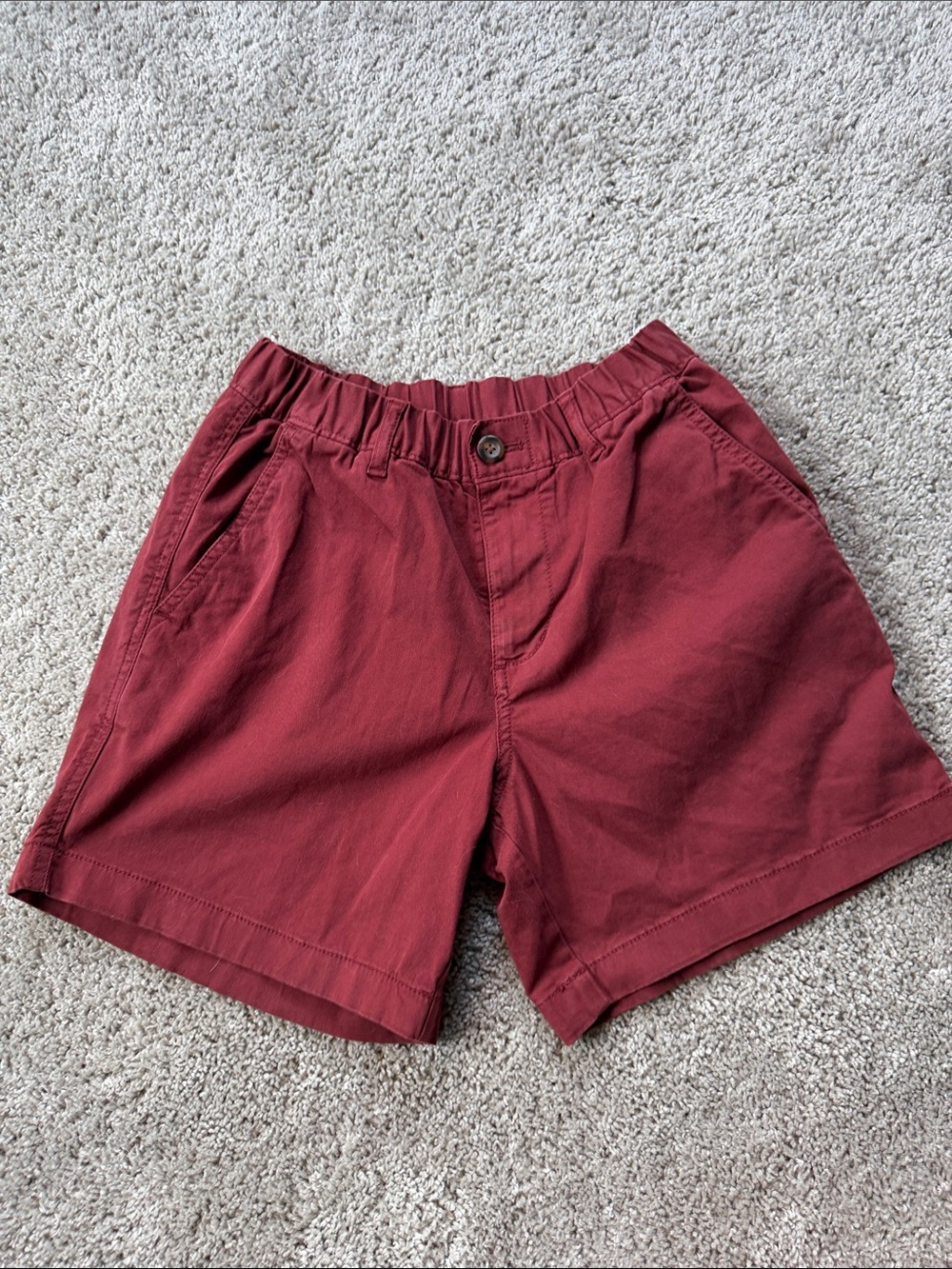 BearBottom 5.5 Shorts 5.5  in Burgundy